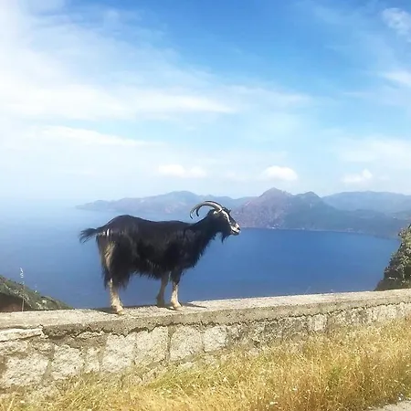 Spacieuse Avec Vue Exceptionnelle Villa *