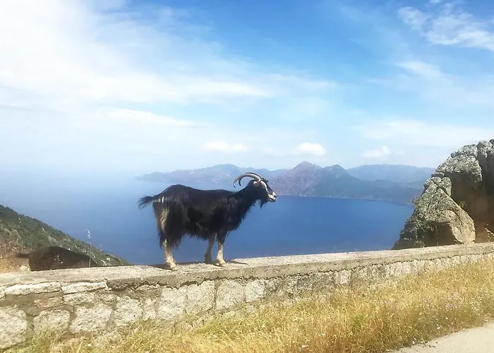 Spacieuse Avec Vue Exceptionnelle Villa *